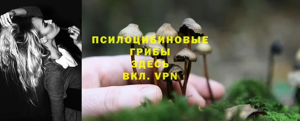 дживик Кукмор