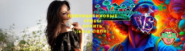 дживик Кукмор