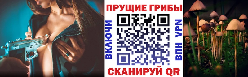 Псилоцибиновые грибы ЛСД  Купить где  Карпинск 