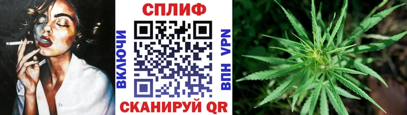 Купить  Карпинск  Бошки марихуана планчик 